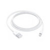 Apple Lightning USB Cable