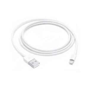 Apple Lightning USB Cable