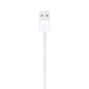 Apple Lightning USB Cable