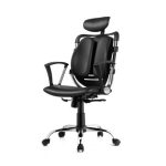 Ergonomic Lumber Support Office Chair